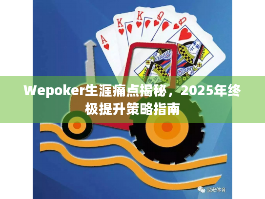 Wepoker生涯痛点揭秘，2025年终极提升策略指南