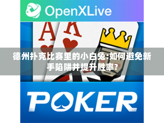 德州扑克比赛里的小白兔:如何避免新手陷阱并提升胜率?