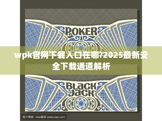 wpk官网下载入口在哪?2025最新安全下载通道解析