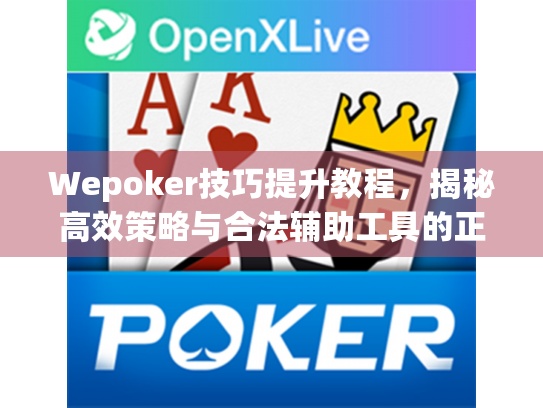 Wepoker技巧提升教程，揭秘高效策略与合法辅助工具的正确用法