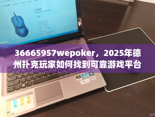 36665957wepoker，2025年德州扑克玩家如何找到可靠游戏平台？