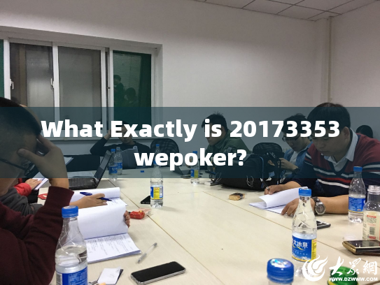 What Exactly is 20173353wepoker? What Exactly is 20173353wepoker?
