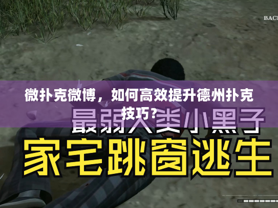 微扑克微博，如何高效提升德州扑克技巧？