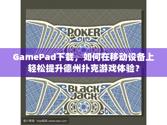 GamePad下载，如何在移动设备上轻松提升德州扑克游戏体验？