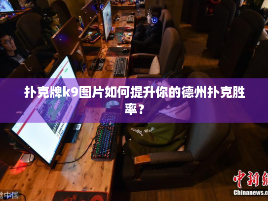 扑克牌k9图片如何提升你的德州扑克胜率？