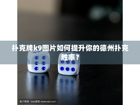 扑克牌k9图片如何提升你的德州扑克胜率？
