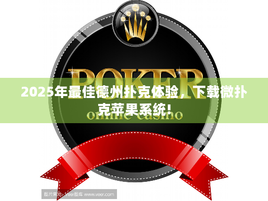 2025年最佳德州扑克体验，下载微扑克苹果系统!