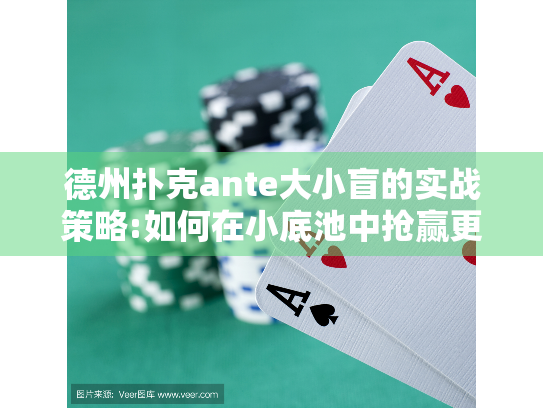 德州扑克ante大小盲的实战策略:如何在小底池中抢赢更多筹码
