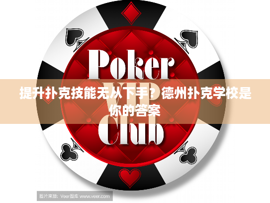 提升扑克技能无从下手？德州扑克学校是你的答案