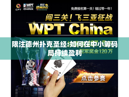 限注德州扑克圣经:如何在中小筹码局持续盈利