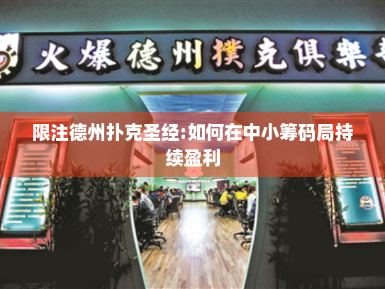 限注德州扑克圣经:如何在中小筹码局持续盈利