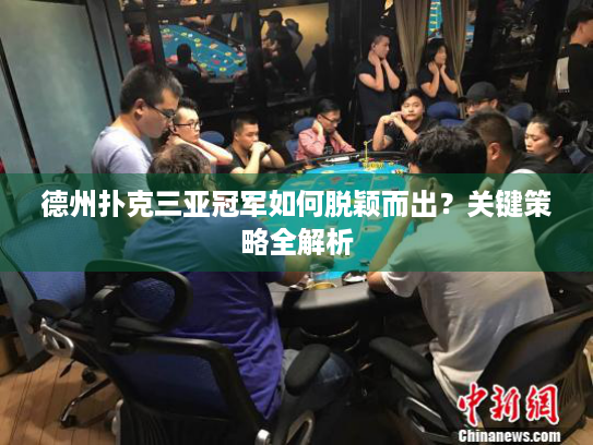 德州扑克三亚冠军如何脱颖而出？关键策略全解析