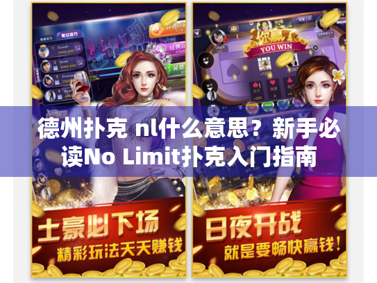 德州扑克 nl什么意思？新手必读No Limit扑克入门指南