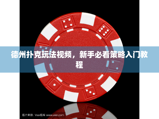 德州扑克玩法视频，新手必看策略入门教程