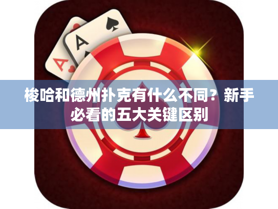 梭哈和德州扑克有什么不同？新手必看的五大关键区别