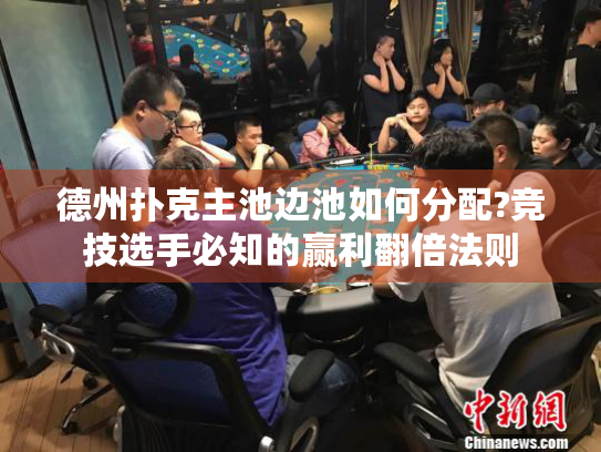 德州扑克主池边池如何分配?竞技选手必知的赢利翻倍法则
