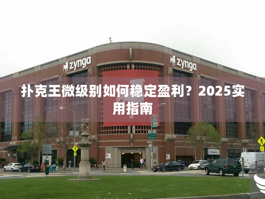 扑克王微级别如何稳定盈利？2025实用指南