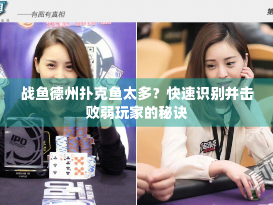 战鱼德州扑克鱼太多？快速识别并击败弱玩家的秘诀