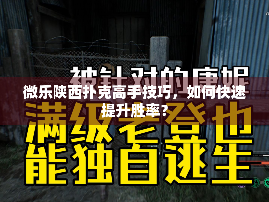 微乐陕西扑克高手技巧，如何快速提升胜率？