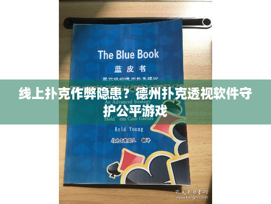 线上扑克作弊隐患？德州扑克透视软件守护公平游戏