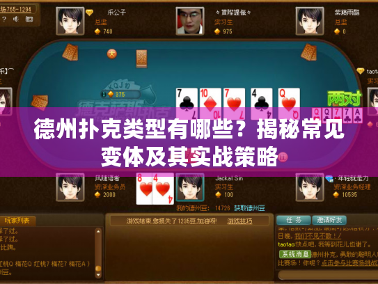德州扑克类型有哪些？揭秘常见变体及其实战策略