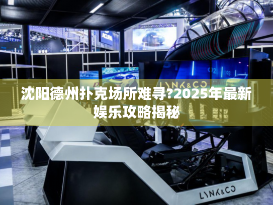 沈阳德州扑克场所难寻?2025年最新娱乐攻略揭秘