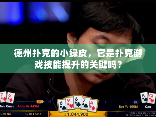 德州扑克的小绿皮，它是扑克游戏技能提升的关键吗？
