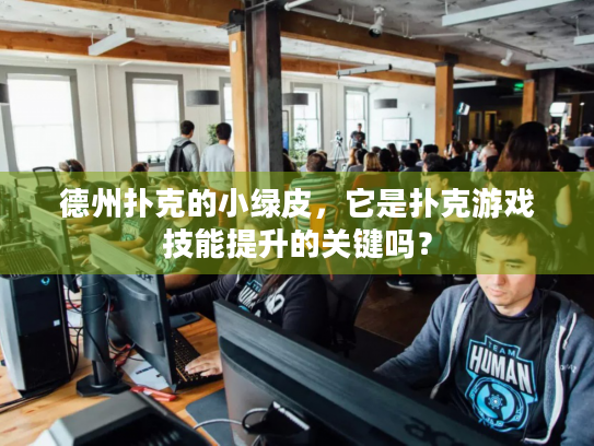德州扑克的小绿皮，它是扑克游戏技能提升的关键吗？