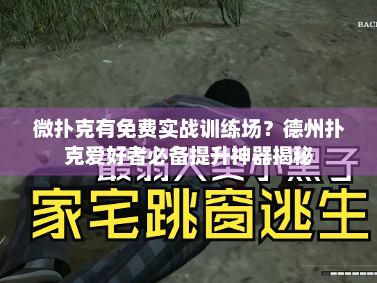 微扑克有免费实战训练场？德州扑克爱好者必备提升神器揭秘