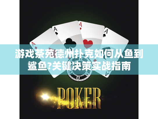 游戏茶苑德州扑克如何从鱼到鲨鱼?关键决策实战指南 游戏茶苑德州扑克如何从鱼到鲨鱼?关键决策实战指南