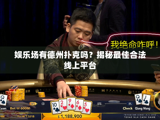 娱乐场有德州扑克吗？揭秘最佳合法线上平台
