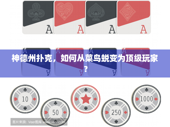 神德州扑克，如何从菜鸟蜕变为顶级玩家？
