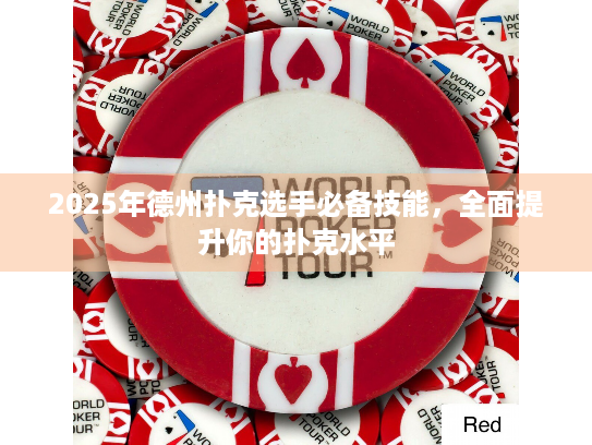 2025年德州扑克选手必备技能，全面提升你的扑克水平