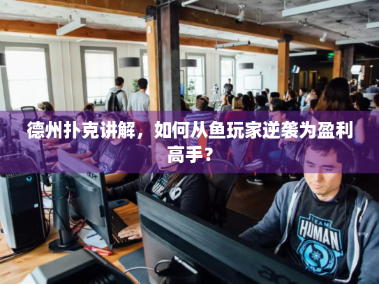 德州扑克讲解，如何从鱼玩家逆袭为盈利高手？