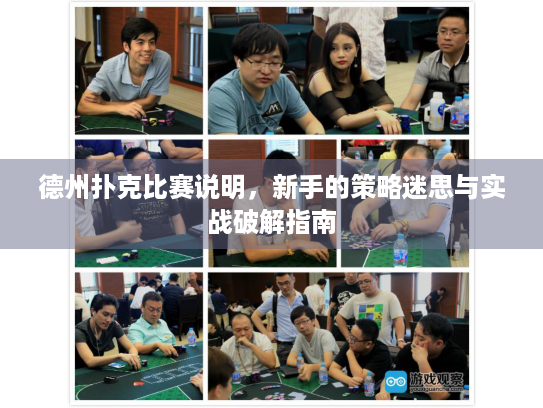 德州扑克比赛说明，新手的策略迷思与实战破解指南
