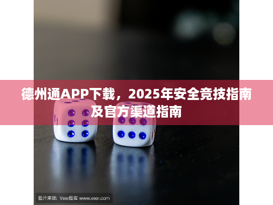 德州通APP下载，2025年安全竞技指南及官方渠道指南