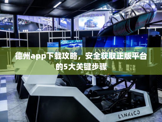 德州app下载攻略，安全获取正版平台的5大关键步骤