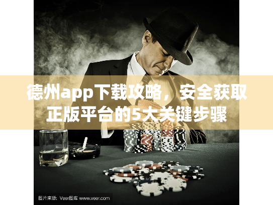 德州app下载攻略，安全获取正版平台的5大关键步骤