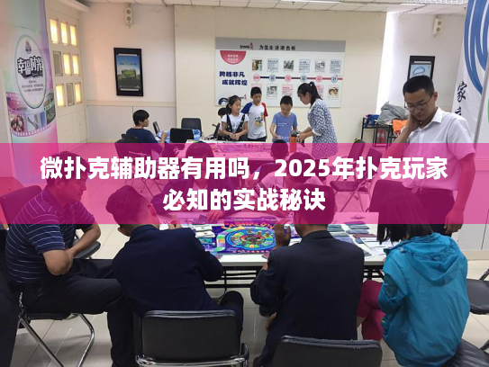 微扑克辅助器有用吗，2025年扑克玩家必知的实战秘诀