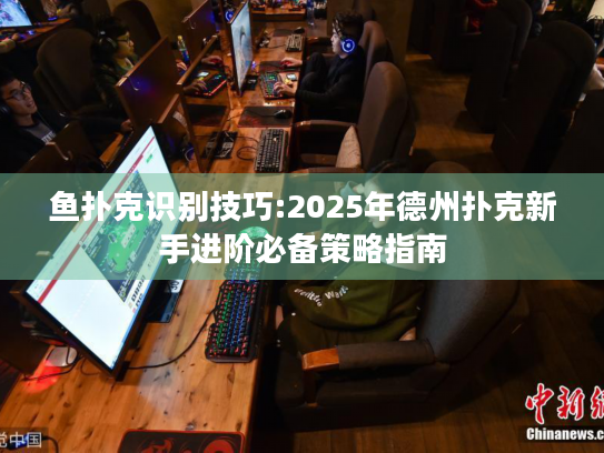 鱼扑克识别技巧:2025年德州扑克新手进阶必备策略指南