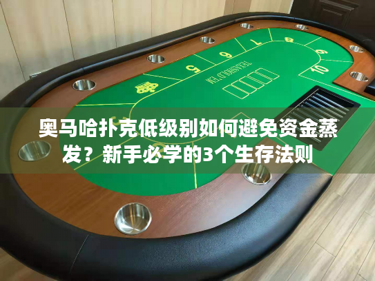 奥马哈扑克低级别如何避免资金蒸发？新手必学的3个生存法则