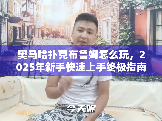 奥马哈扑克布鲁姆怎么玩，2025年新手快速上手终极指南