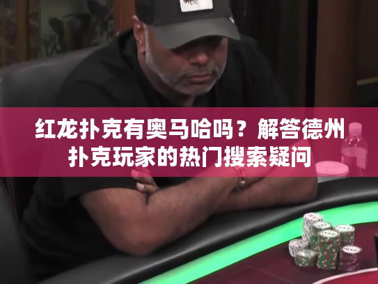 红龙扑克有奥马哈吗？解答德州扑克玩家的热门搜索疑问