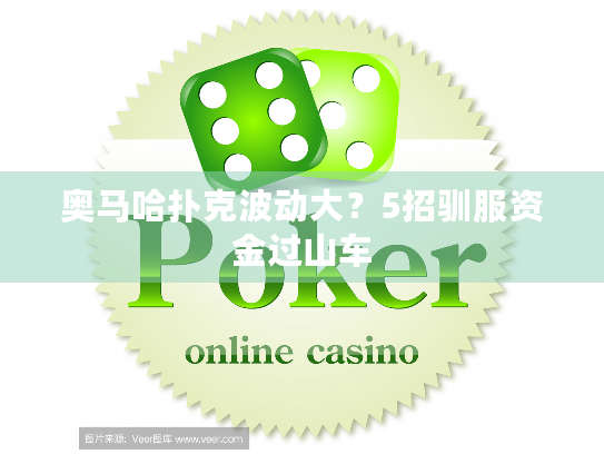 奥马哈扑克波动大？5招驯服资金过山车