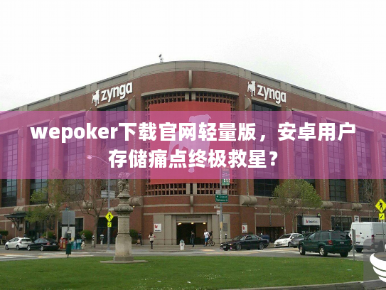 wepoker下载官网轻量版，安卓用户存储痛点终极救星？