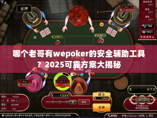 哪个老哥有wepoker的安全辅助工具？2025可靠方案大揭秘