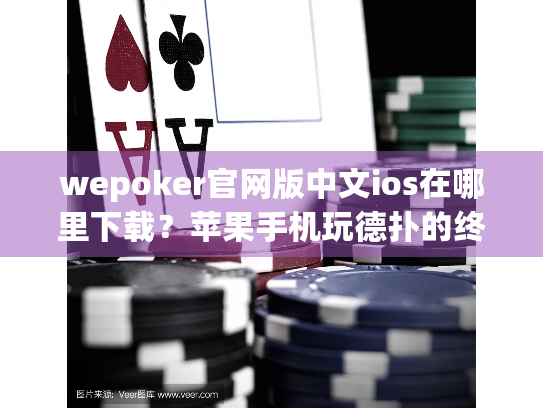 wepoker官网版中文ios在哪里下载？苹果手机玩德扑的终极方案