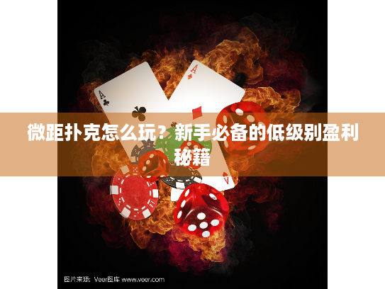 微距扑克怎么玩？新手必备的低级别盈利秘籍