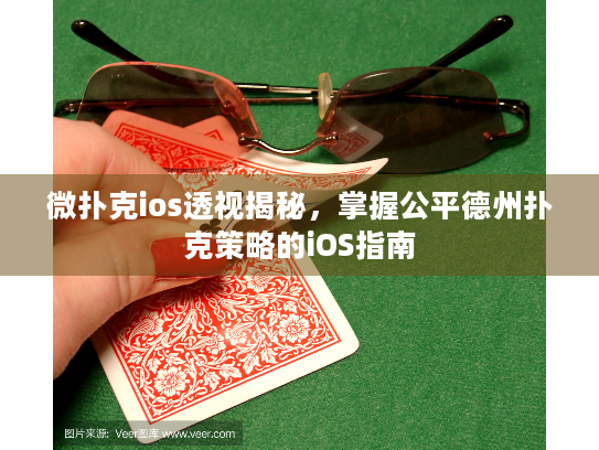 微扑克ios透视揭秘，掌握公平德州扑克策略的iOS指南