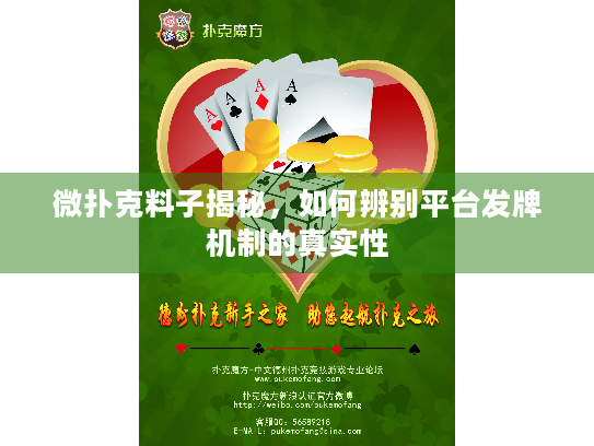 微扑克料子揭秘，如何辨别平台发牌机制的真实性